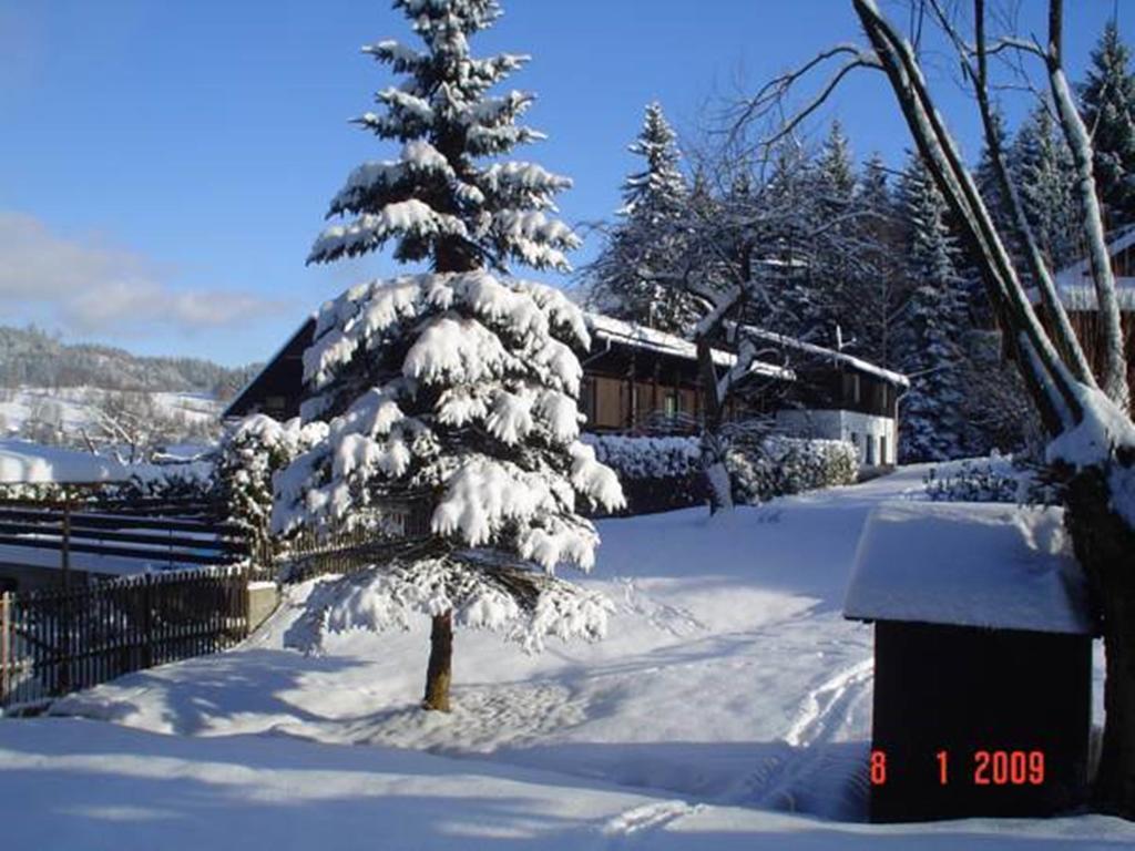 Relax Pension U Nosku Smrzovka Номер фото